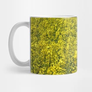 Field of Yellow: Rapeseed (canola), south of France, spring Mug